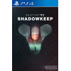 Destiny 2: Shadowkeep PS4